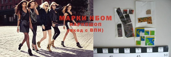 шишки Новокубанск