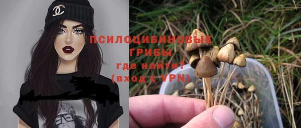 mdma Новозыбков
