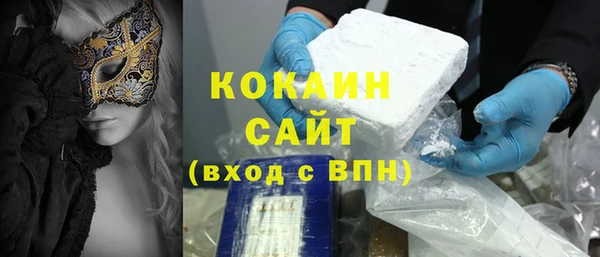 шишки Новокубанск