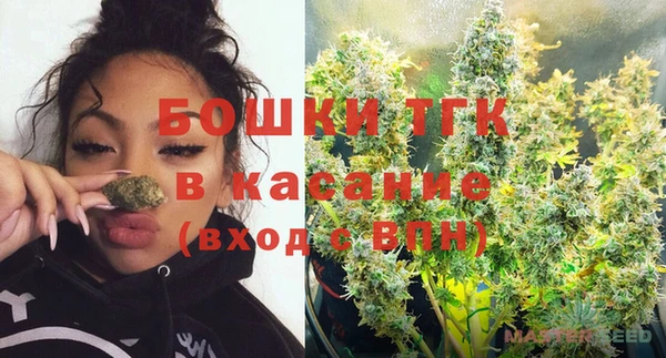 шишки Новокубанск