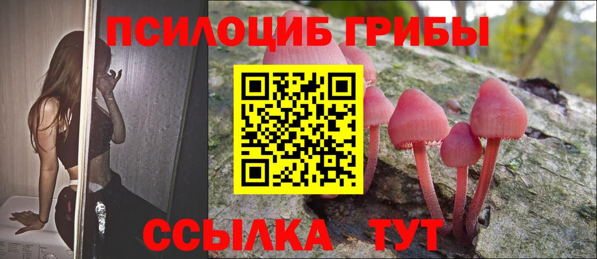 Псилоцибиновые грибы ЛСД Хабаровск