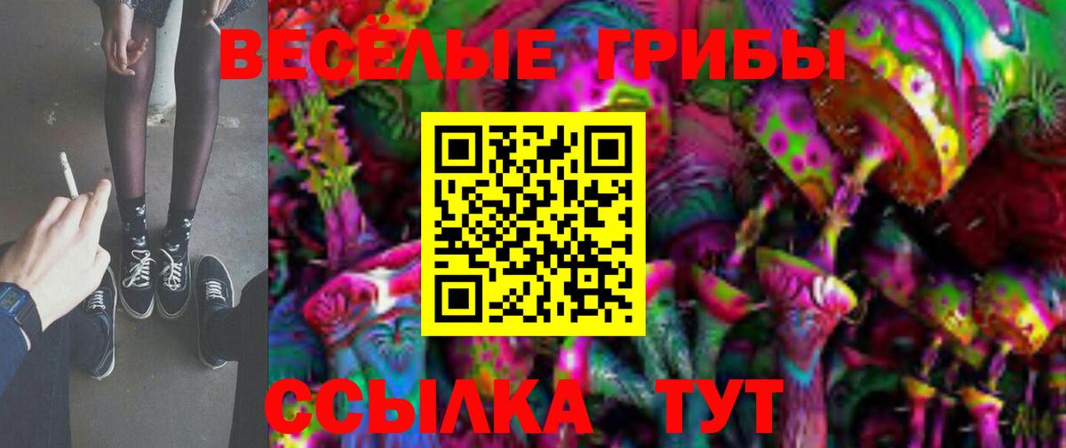 Хабаровск  Псилоцибиновые грибы Cubensis  Вход с VPN 